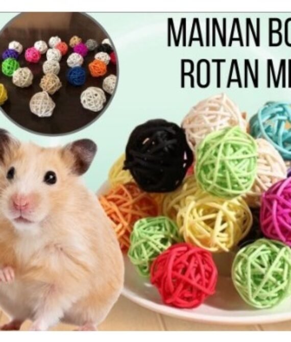 Dhio Bola Rotan Mini Hamster